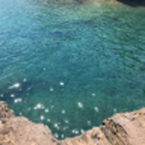 Meet your Posher, Tessa